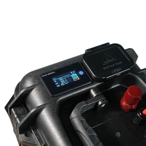 Ultimatron LiFePO4 ULP-12-100 12.8V 100Ah Batteria al Litio BMS Smart Bluetooth ULULP12100