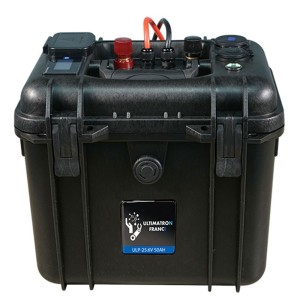 Ultimatron LiFePO4 ULP-24-50 25.6V 50Ah Batteria al Litio BMS Smart Bluetooth ULULP2450