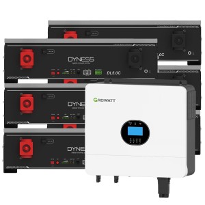 Sistema di accumulo Growatt 6kW: batteria Dyness 30.72kWh off-grid