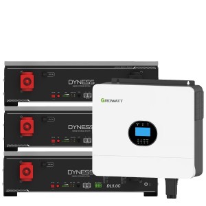 Growatt 6kW batteria Dyness 15.36kWh OFF-GRID Sistema di accumulo monofase kit fotovoltaico