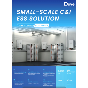Deye BOS-G Batteria 30kW - 6x5.12kW + HVB750V/100A + rack 13