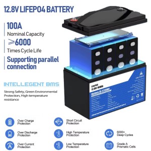 Batteria LiFePO4 12V 100Ah con 100A BMS 12,8V 1280Wh