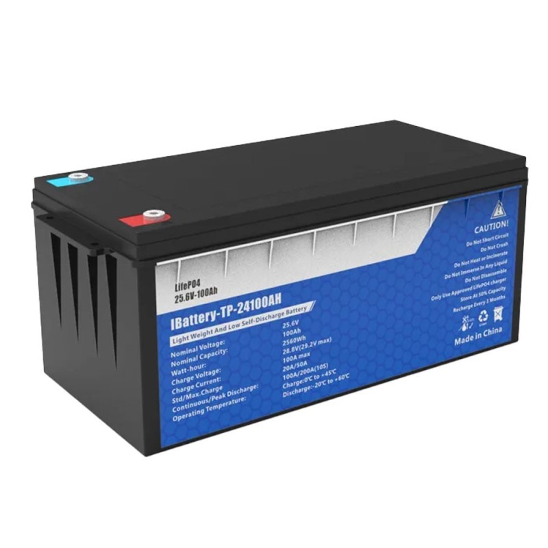 24V 100Ah LiFePO4 Battery With 100A BMS 25.6V 2560Wh