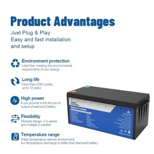 24V 100Ah LiFePO4 Battery With 100A BMS 25.6V 2560Wh