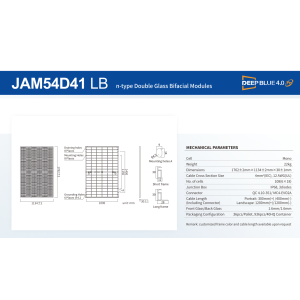 JA SOLAR 450W JAM54D41-450 Full Black bifacciale N-Type Glass-Glass Pannello Solare min 8pz