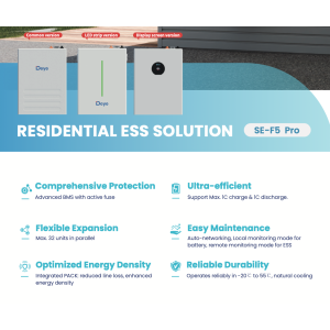 Deye SE-F5-PRO C Version Batteria LifePO4 51,2V ad Alte Prestazioni per solare OffGrid LV