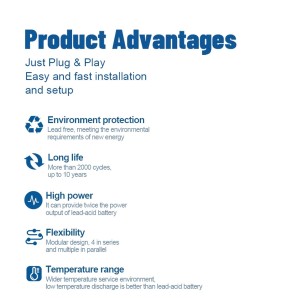 12V 200Ah LiFePO4 Battery With 100A BMS 12.8V 2560Wh