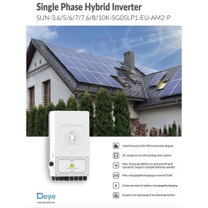 DEYE Sistema di accumulo 5.12kWh inverter 6kW SG05LP1 + 1 SE-G5.1 Pro-B