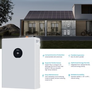 DEYE Sistema di accumulo 30.72kWh Inverter 6kW SG05LP1 + 6 SE-F5-Pro-C