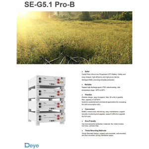 Kit fotovoltaico Off Grid + On Grid 6000-9000W DEYE PRO accumulo 15.36kWh Baita Casa Kit anti Lockdown Energetico